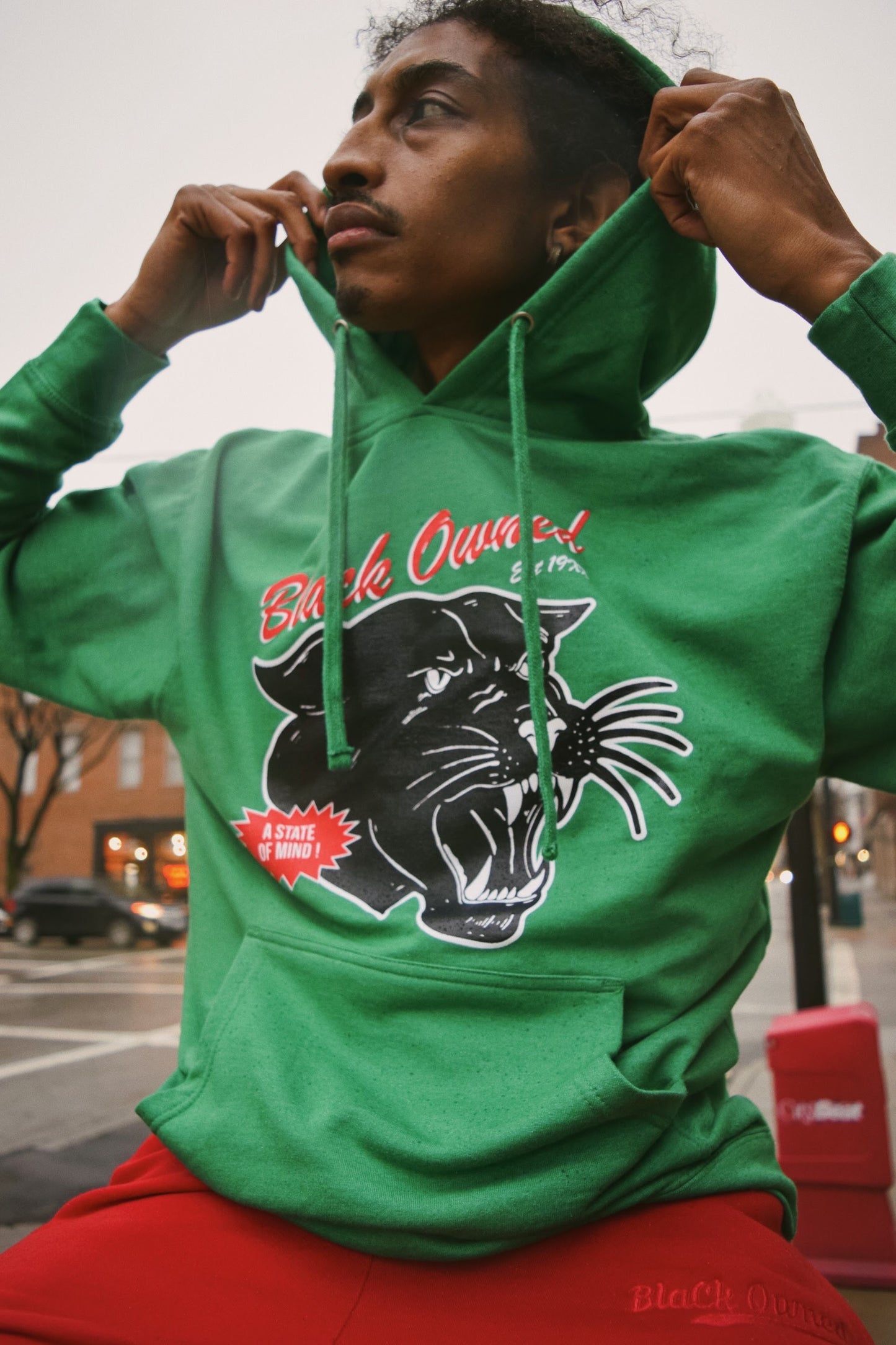 Vintage Panther Classic™️ Hoody
