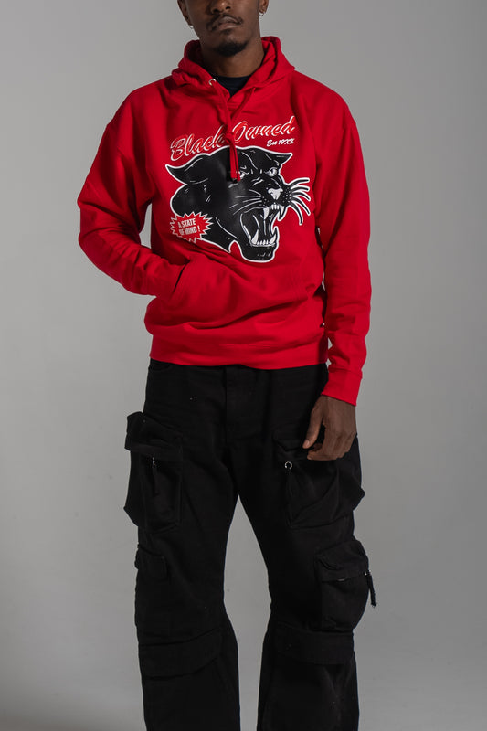 $30 Mystery Hoody Black Friday