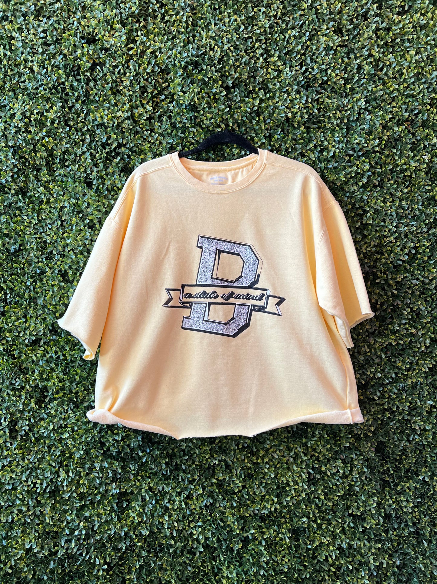 Varsity "B" Crop Crewneck Sweatshirt