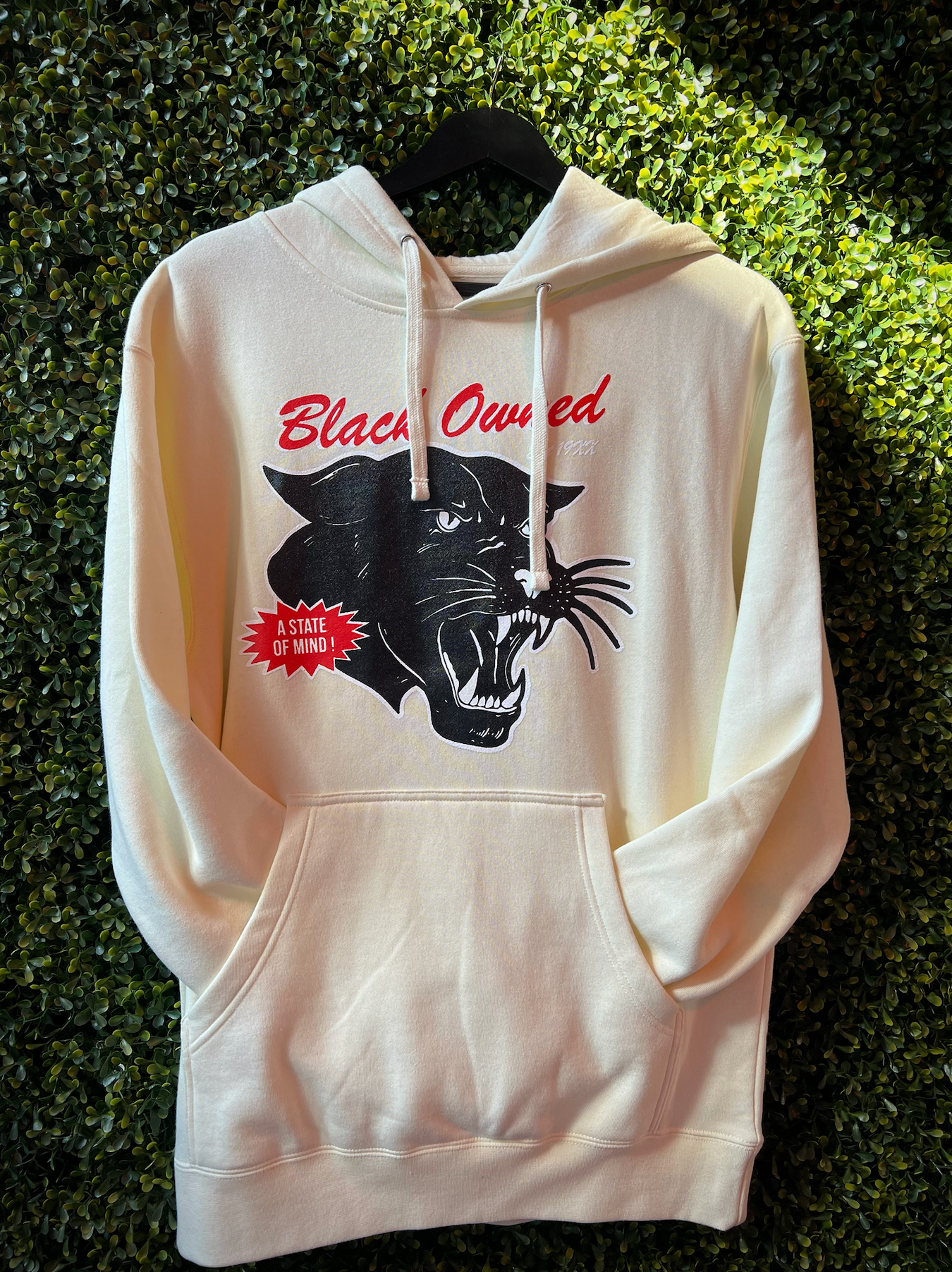 Vintage Panther™️ Classic Hoody