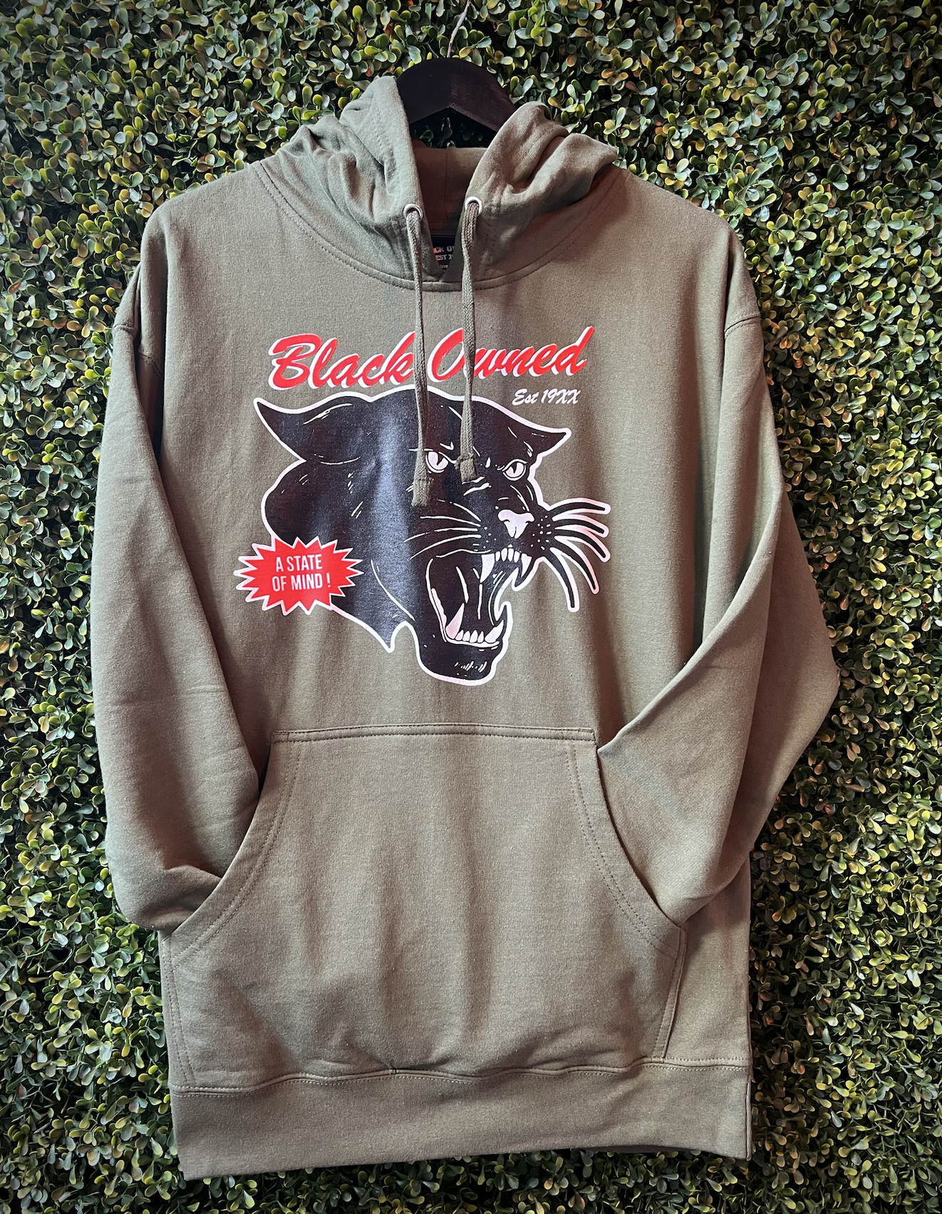 Vintage Panther™️ Classic Hoody