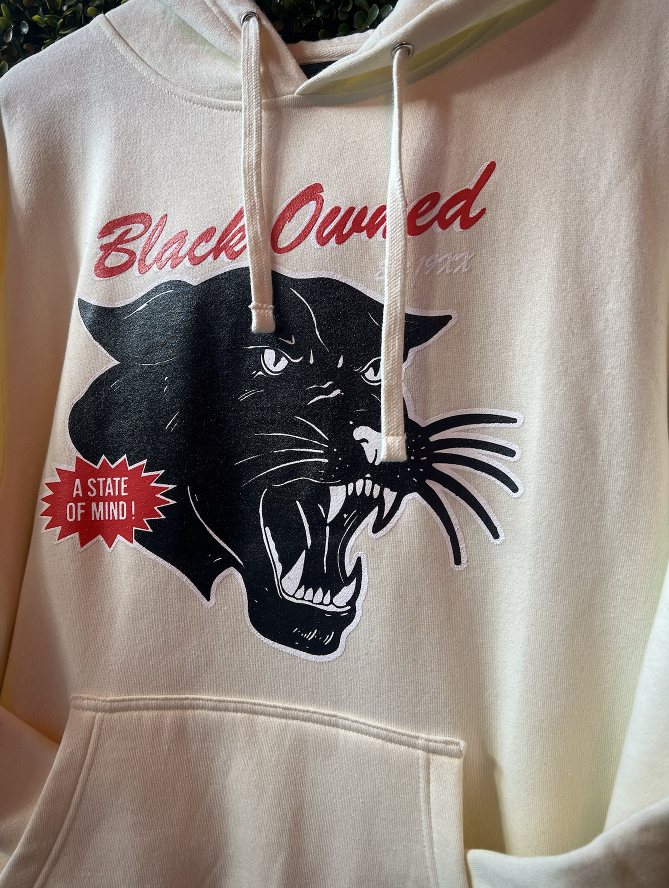 Vintage Panther™️ Classic Hoody