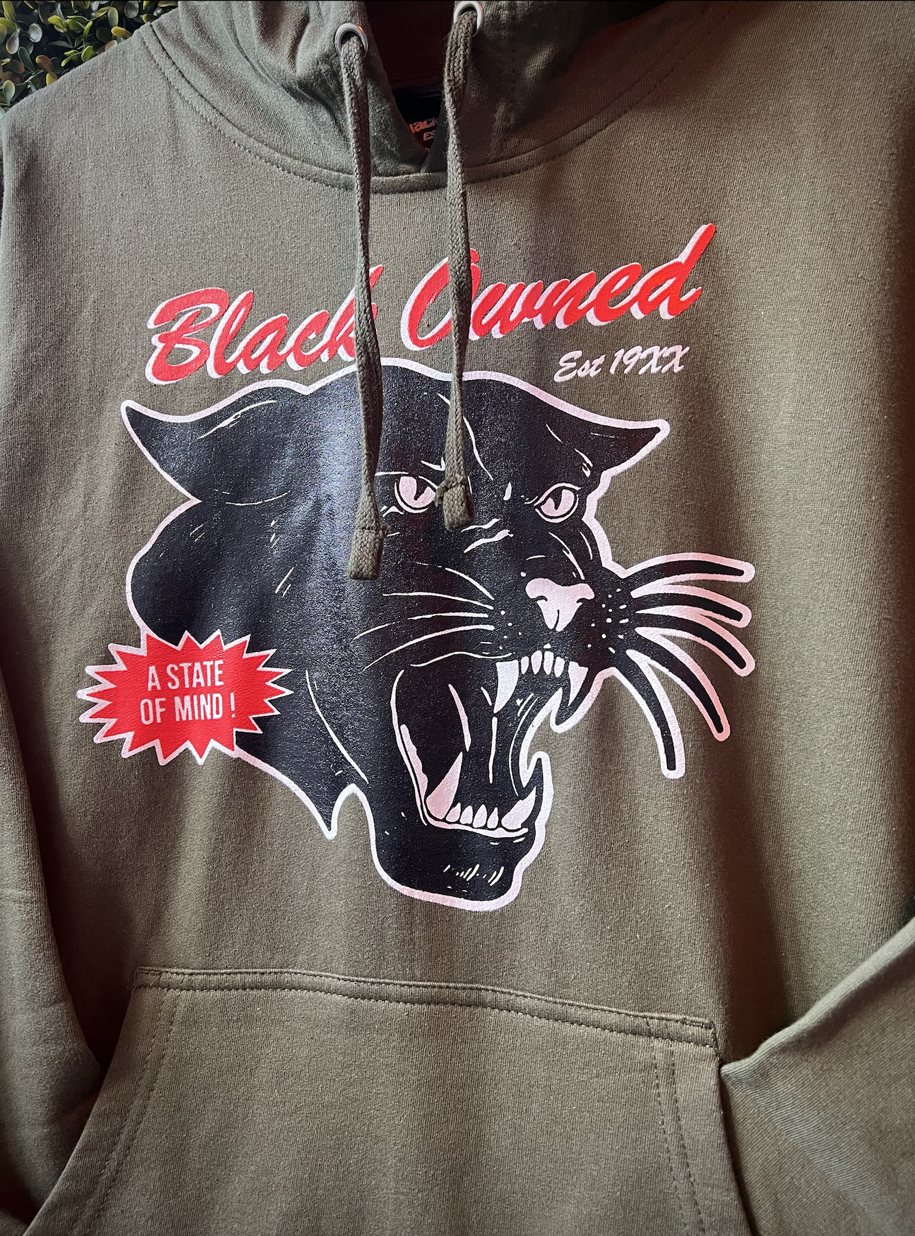 Vintage Panther™️ Classic Hoody