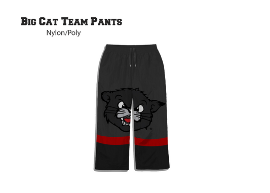 (Pre Order) UC Bearcats x BlaCkOWned™️ Colorblock Big Cat Pants